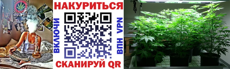 Бошки марихуана SATIVA & INDICA  цены   MEGA сайт  Чёрмоз 